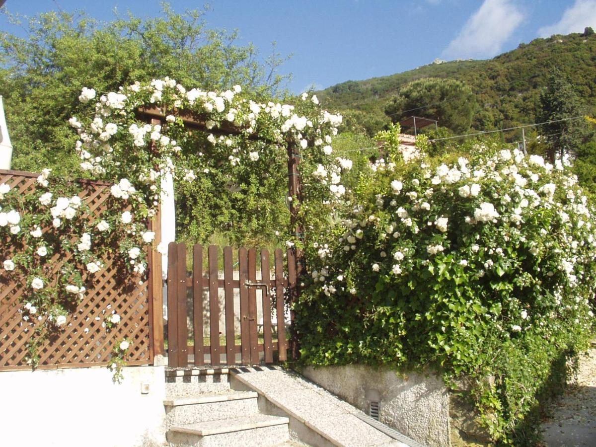 Bed & Breakfast Dei Limoni SantʼAndrea